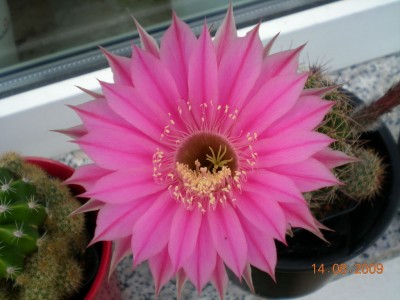 DSCN53510001.JPG