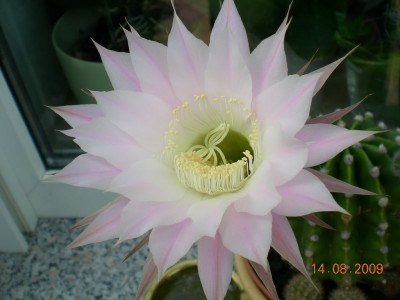 DSCN53500001.JPG