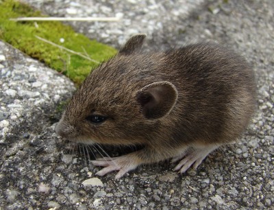 11.08.2009 mein gott, wie klein.jpg