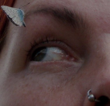 12.08.2009 anhänglich4-1.jpg