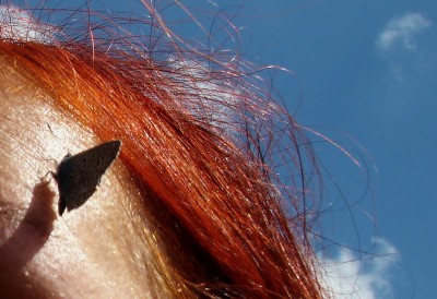 12.08.2009 anhänglich3-1.jpg