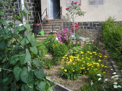 P8030006_Bildgröße ändern.JPG