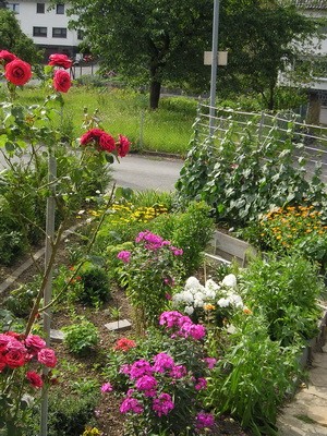 P8030002_b_Bildgröße ändern.jpg