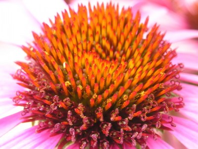 130809 011_Bildgröße ändern.jpg