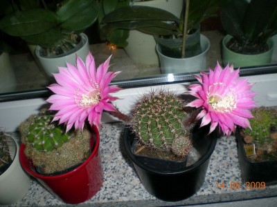 DSCN53900001.JPG