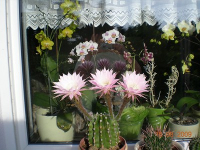DSCN53910001.JPG