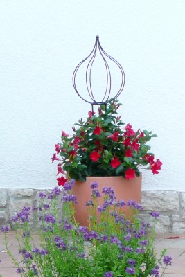2009-07-26 202klein.jpg