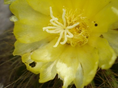August 2009 059.jpg