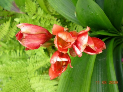 DSCN53050001.JPG