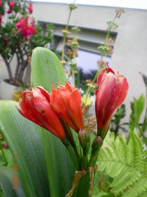 DSCN53040001.JPG