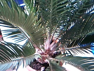 Picture 608.jpg