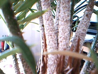 Picture 607.jpg