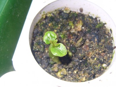 DSCI0004 - Kopie.JPG