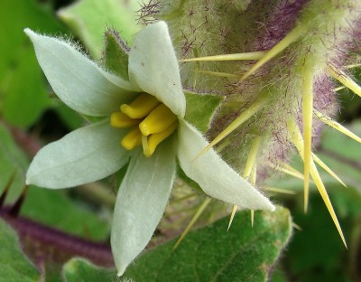 12.08.2009 makro.jpg