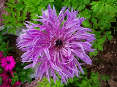 100D5876.JPG