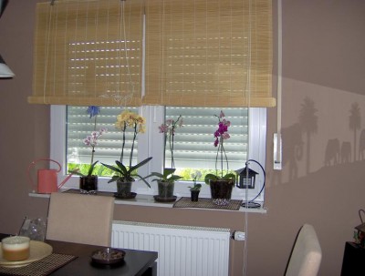 Fenster.jpg