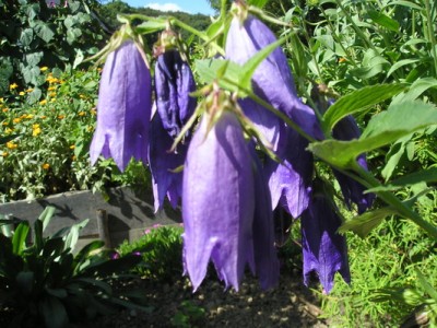 180809 017_Bildgröße ändern.jpg