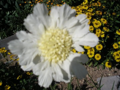 180809 016_Bildgröße ändern.jpg