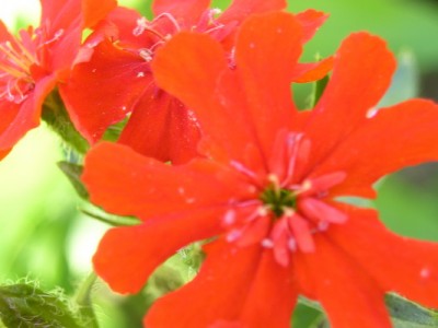 180809 014_Bildgröße ändern.jpg