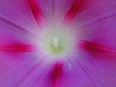 180809 007_Bildgröße ändern.jpg