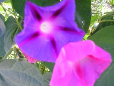 180809 006_Bildgröße ändern.jpg