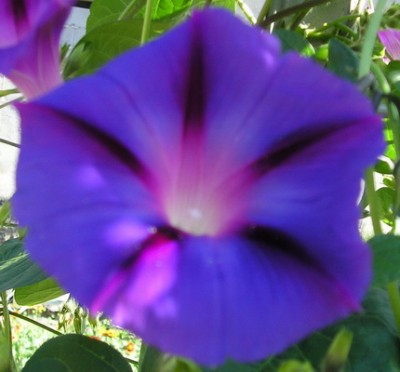 180809 005_b_Bildgröße ändern.jpg