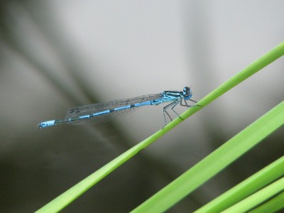 IMG_0393.JPG