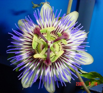 DSC00972.JPG