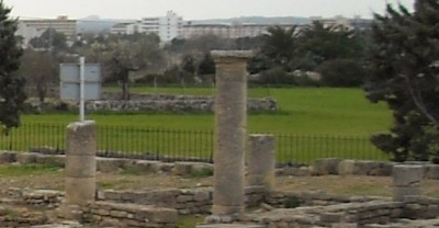 Pollentia - Kopie.jpg
