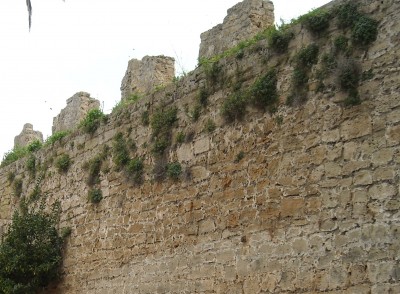 Alcudia - Kopie.jpg