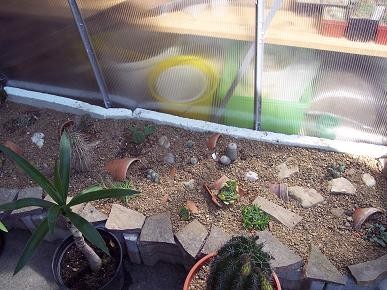 Bild 176.jpg