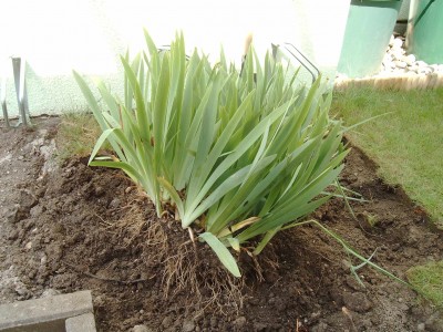 Mittendrin_0704.jpg