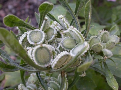 rätsel090817 ganzes Bild.jpg