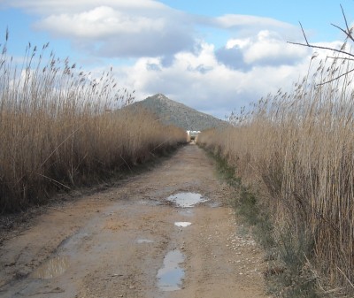 Weg 2 - Kopie.jpg