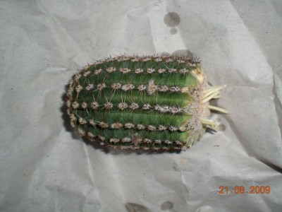 DSCN55050001.JPG