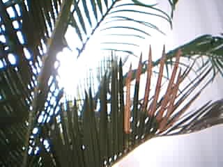 Picture 610.jpg
