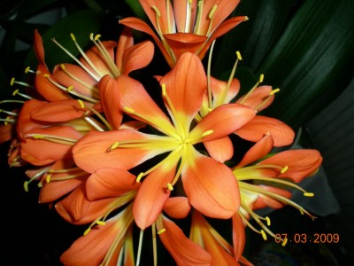 DSCN29400001.JPG
