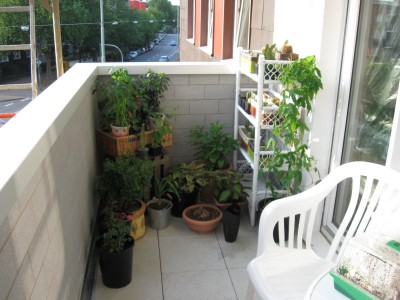 Balkon nach Sanierung1.jpg