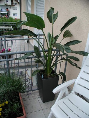 10Jun09 02.JPG