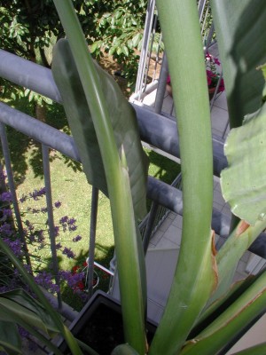22Jun09.jpg