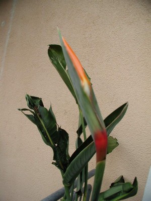 22Aug09 03.JPG