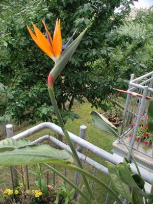 23Aug09 07.JPG