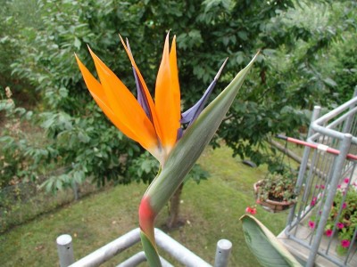 23Aug09 03.JPG