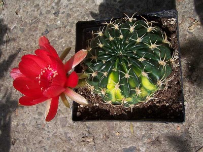 100_5180.JPG