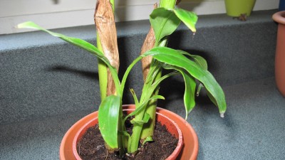 IMG_1568.jpg
