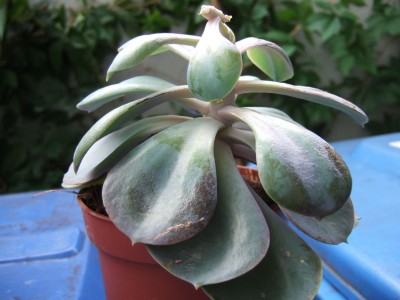 DSCF9015.JPG