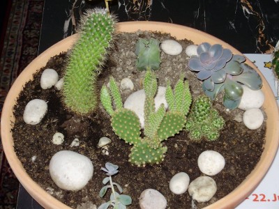 P3270020_800x600.JPG