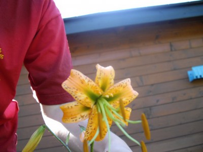 IMGP0847_Bildgröße ändern.JPG