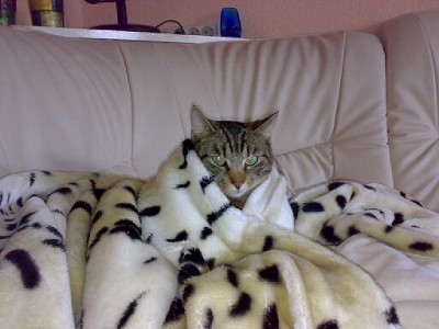 Malter  vom  3.6.09 - 6.6.09 006.jpg