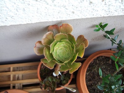 DSCF9038.JPG